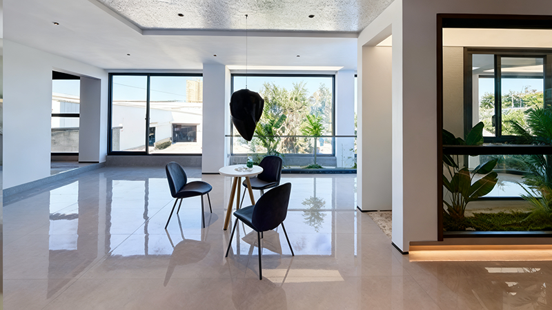 Proven International Expertise: Classic Global Case Studies